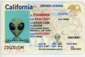 California fake id card.