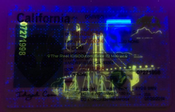 California fake id card ultra violet design under black light.