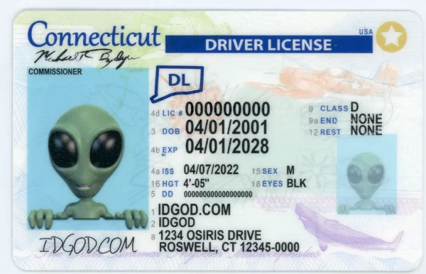 Connecticut fake id card.