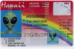 Hawaii fake id card.