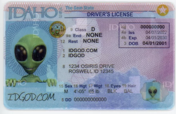 Idaho fake id card.