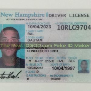 New Hampshire fake id card