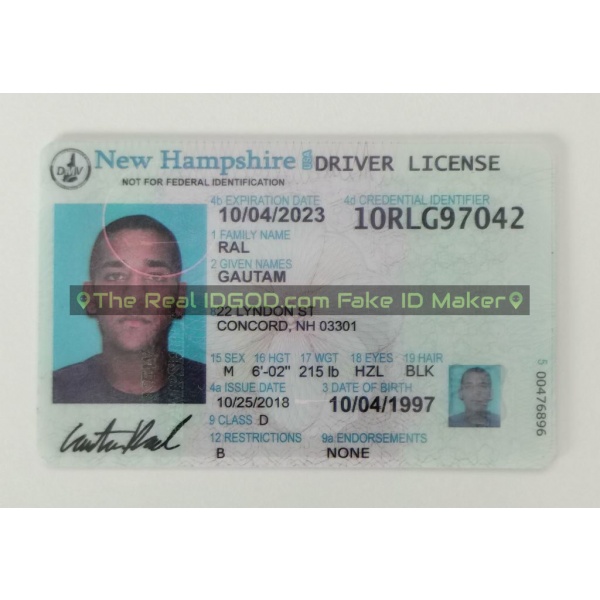 New Hampshire fake id card