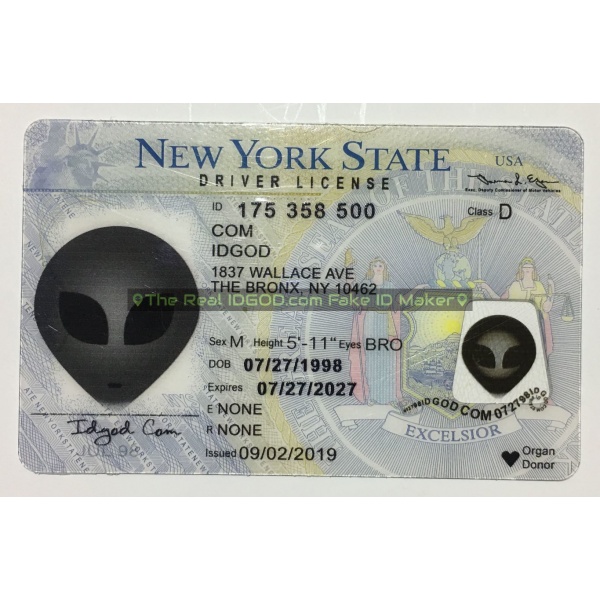 New York fake id card.