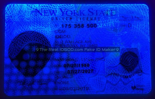 New York fake id card ultra violet design under black light.