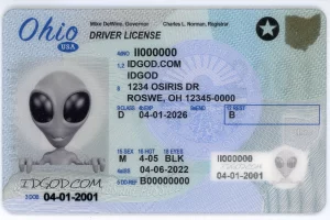 Ohio fake id card.