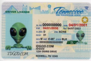 Tennessee fake id card.