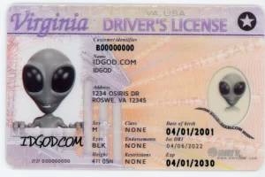 Virginia fake id card.