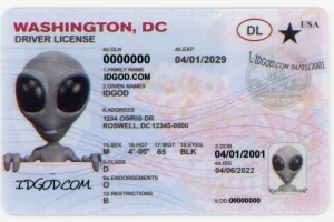 Washington DC fake id card.