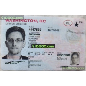 Washington DC fake id card.